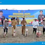 258f95b11342e7e4972bd4a750e778620592b2caab03ff7a3b20398d801522c1.0